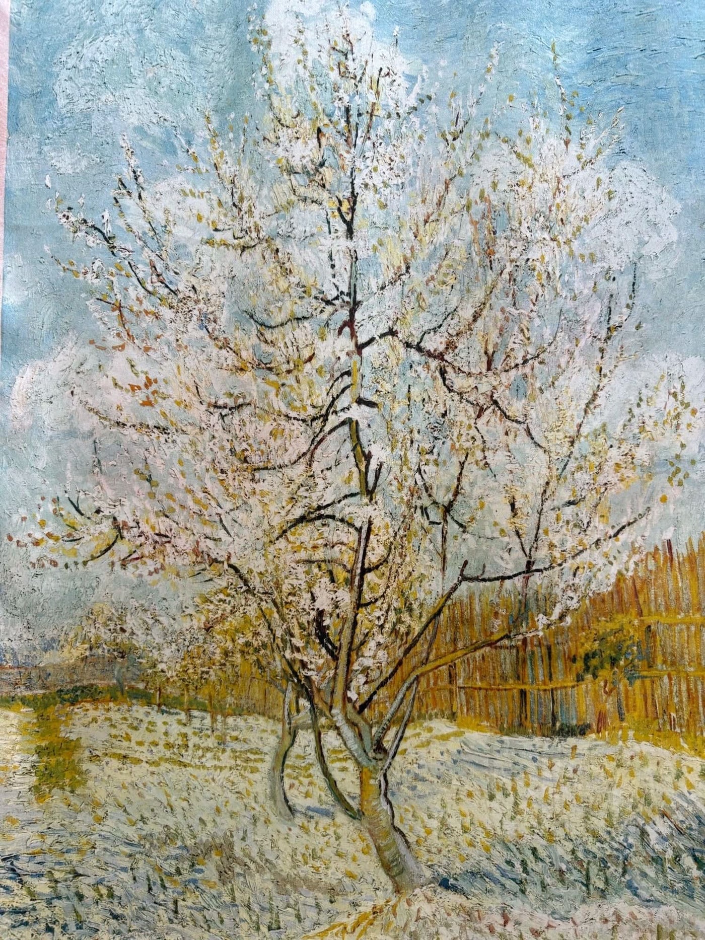 Elegant Silk Scarf printed by Van Gough Paint