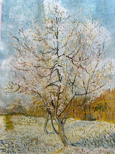 Elegant Silk Scarf printed by Van Gough Paint